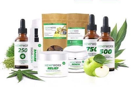 CBD Oil